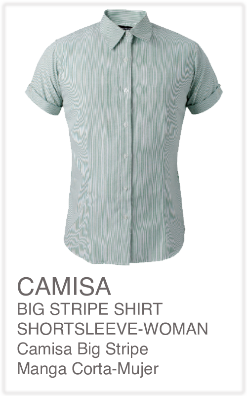 productos promocionales, tazas, gorras, sueters, camisas, tshirt, t-shirt
