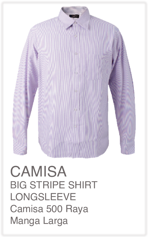 productos promocionales, tazas, gorras, sueters, camisas, tshirt, t-shirt